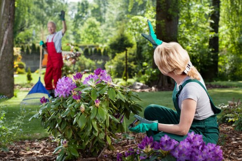 Landscaping team preparing a garden service site