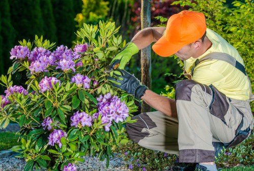 Free quote policy for Downham landscaping services