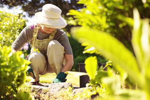 A local garden soft landscaping project with shrubs and soil preparation