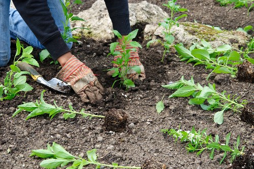 Protected Landscaping Downham payment checkout with secure encryption