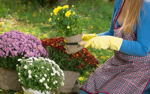 Landscaping complaint being assessed and documented