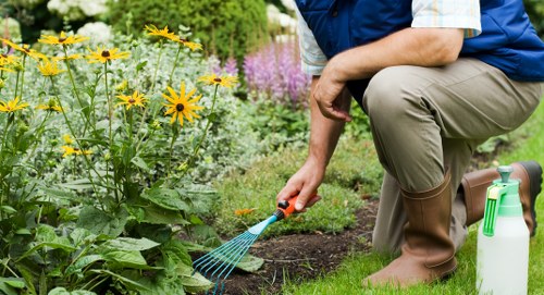 Practical low-maintenance garden redesign for a local property