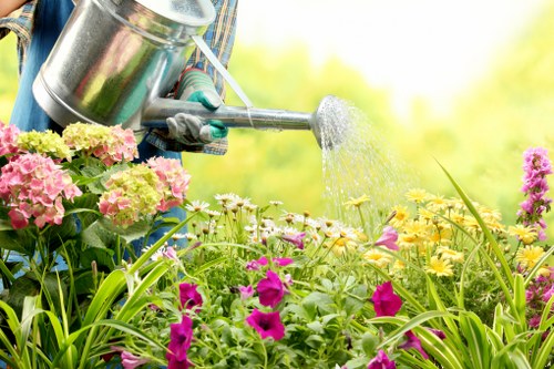 Waste and site clearance as part of landscaping services