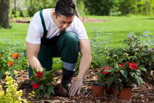 Hard landscaping driveway and paving project in Downham