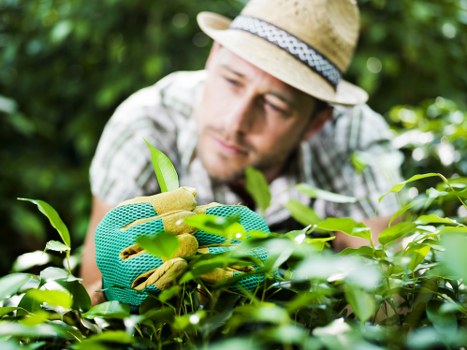 Professional Downham landscaping with balanced garden layout and seasonal planting