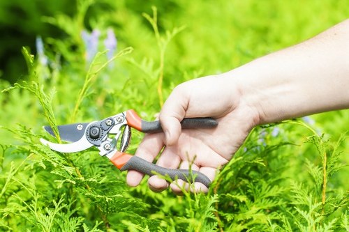Keyboard navigation and screen-reader support for Downham landscaping content