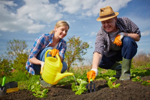 Inspection of a garden landscaping issue