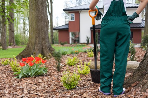 Residential and commercial garden landscaping work carried out in Downham