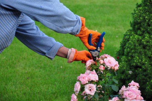 Patio, planting, and landscaping features in a Downham garden