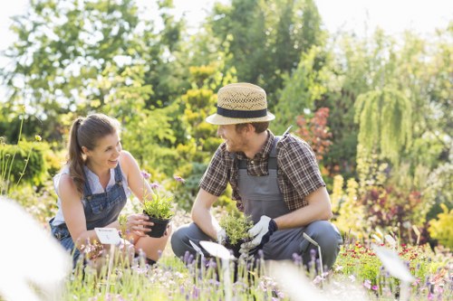 Ongoing accessibility commitment for Downham landscaping website content