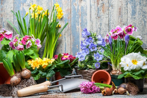 Accessibility support information for landscaping services in Downham